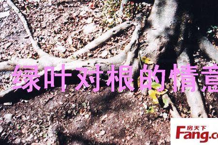 树坏在根人坏在心什么意思