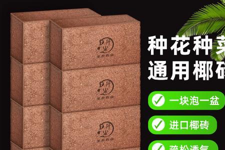 发财树用椰砖栽培可以吗
