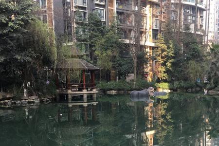 成都浅水半岛为什么便宜
