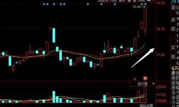只有中国股票才是t+1交易吗