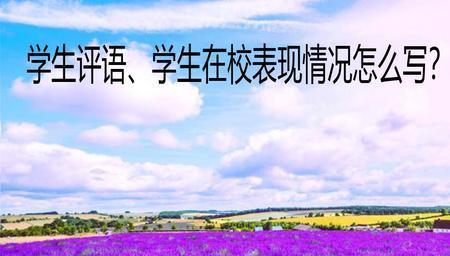 二年级学生在校表现建议
