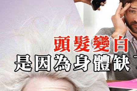 急白了头发的说说