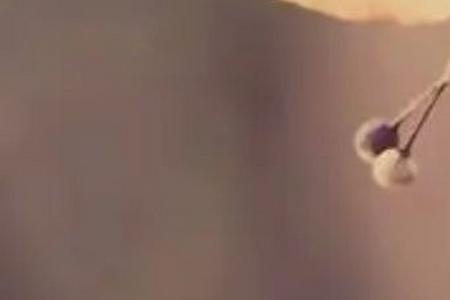 哀其不怒恨其不争的意思
