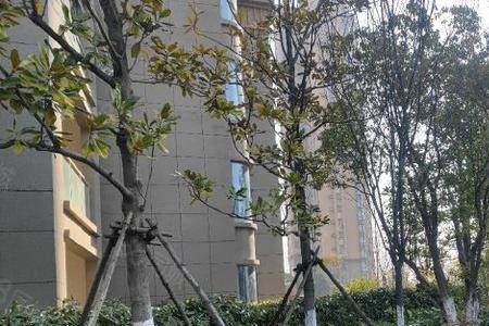 当涂翠竹广场什么时候建成