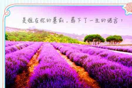 口吐莲花的经典句子