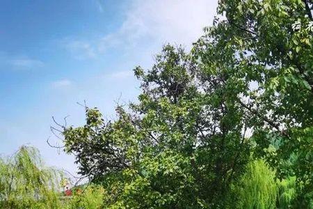 走进大自然放松心情文案