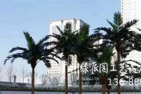 院子里种椰子树好不好