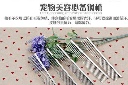 狗狗什么时候开始用梳子