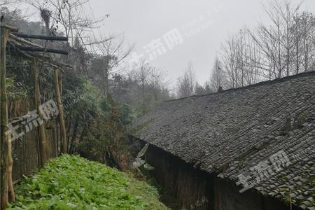 地主后代收回宅基地吗