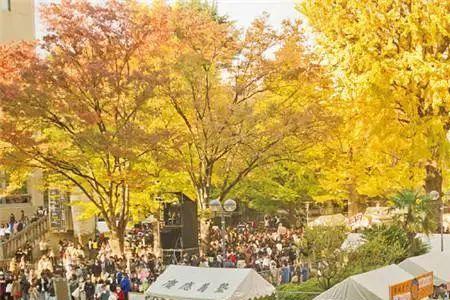 日本开放日什么意思