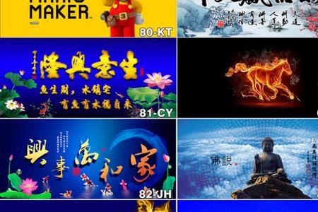 舍得鱼缸壁纸什么含义