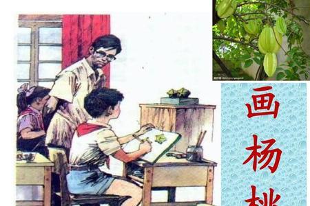 画杨桃告诉我们一个什么道理
