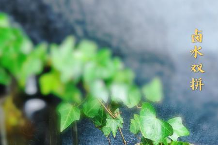 怎么卤素菜．简单点