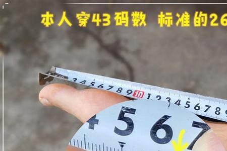 如何根据鞋码来判断人的身高