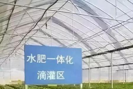 带农益农实施方案
