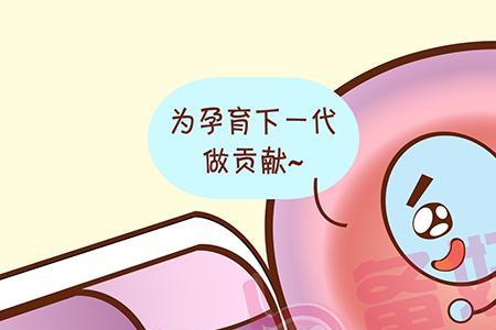 共精是什么意思啊