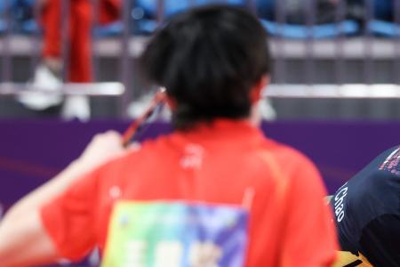 给国乒队写信应该寄到哪里