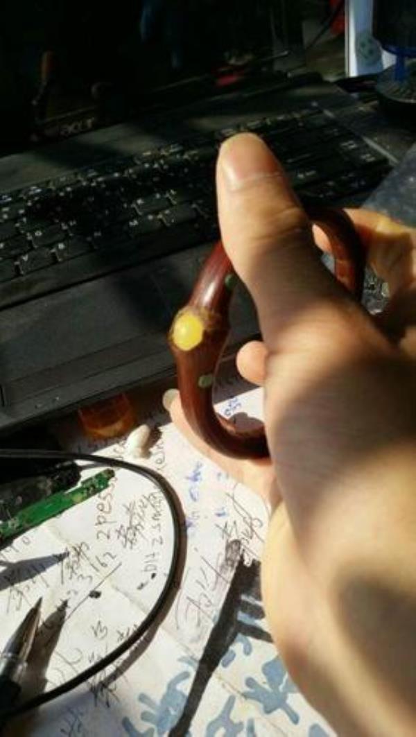 金刚藤盘玩效果