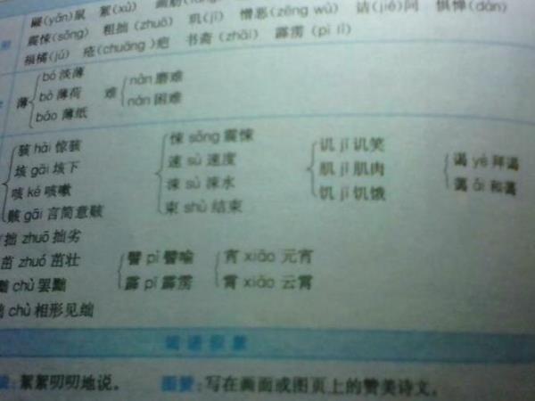 焙是多音字吗请问