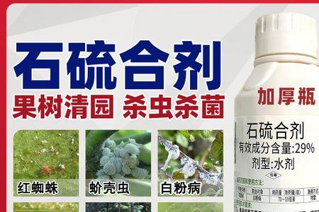 柑橘清园药最好配方
