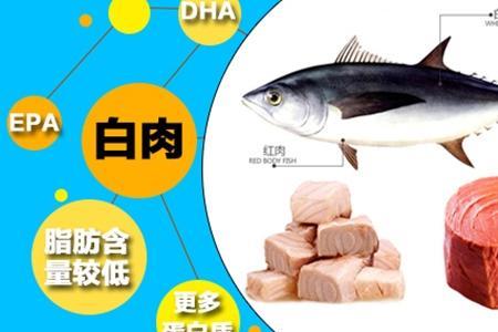 金枪鱼猫条喂猫好不好