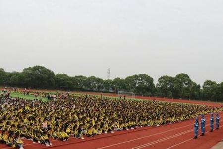 临川龙津中学是公办还是民办