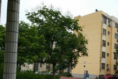 东营河口河康新区啥时候交房