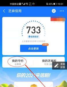 支付宝逾期怎么获得芝麻粒