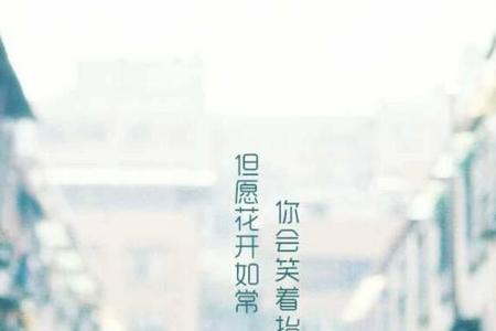 愿我所愿如我所愿是什么意思