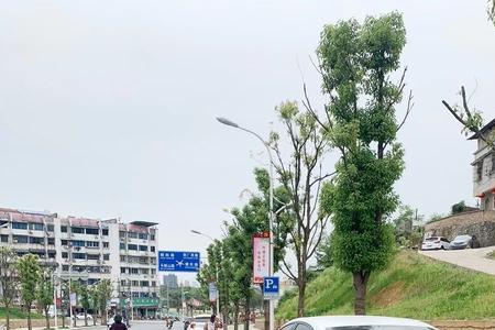 景德镇市马鞍山路有多长