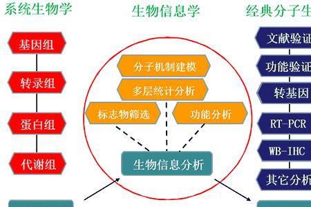 个体化原理是什么意思