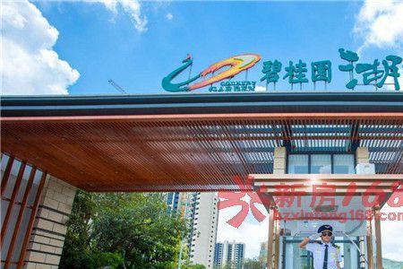 碧桂园央玺什么时候交房