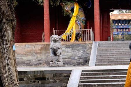 一个和尚守着一座寺庙的小说