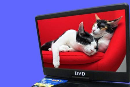 tv版和dvd版哪个好