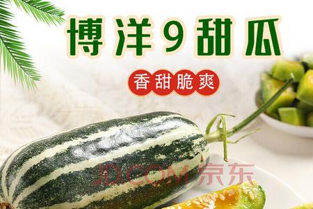 博洋9号甜瓜升糖指数