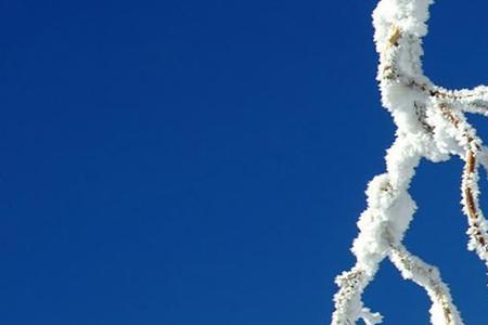 小雪节气成语
