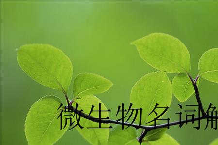 CAM生物名词解释