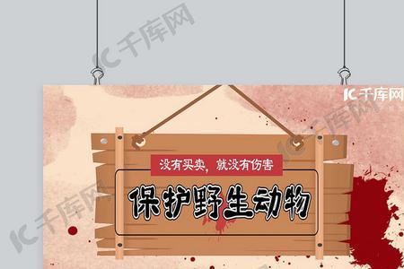 什么时候放开对野生动物保护
