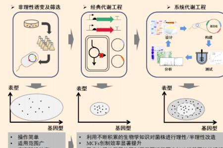 代谢工程育种常采用的方法包括