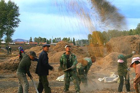 农村打场的土地耕地吗