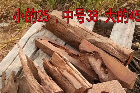 琥珀木可以用水泡吗