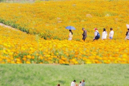 滇中植物园6月还有花吗