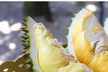 榴莲配什么茶