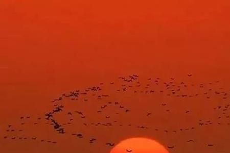 又见夕阳红什么意思
