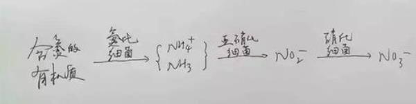 硝酸结构式为什么有氮氧单键