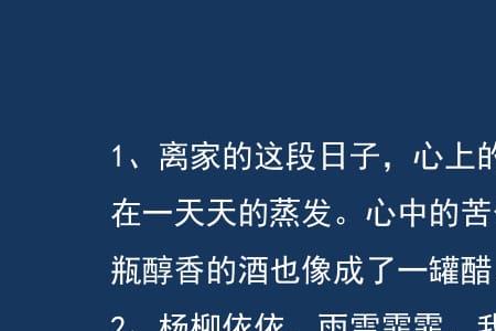 过完年了又到了离家的日子
