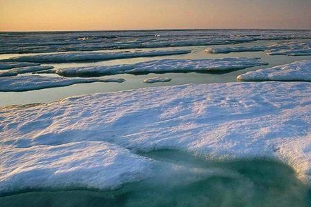 区别海水和淡水的方法是什么
