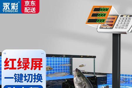 永彩dy-k1电子秤使用说明书
