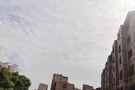 大连东联路，泉水出口