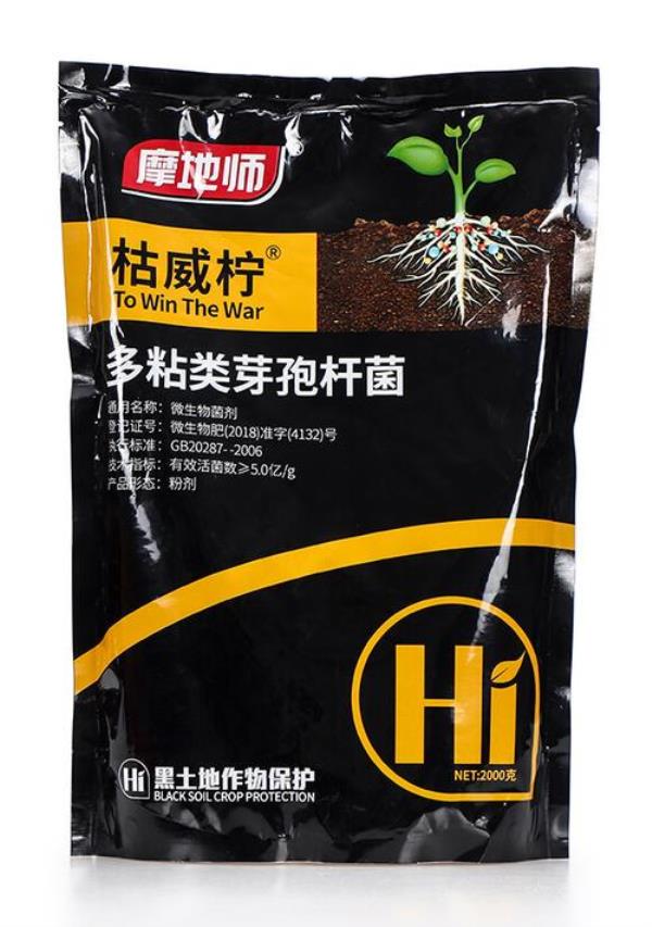 枯芽孢杆菌存活多久